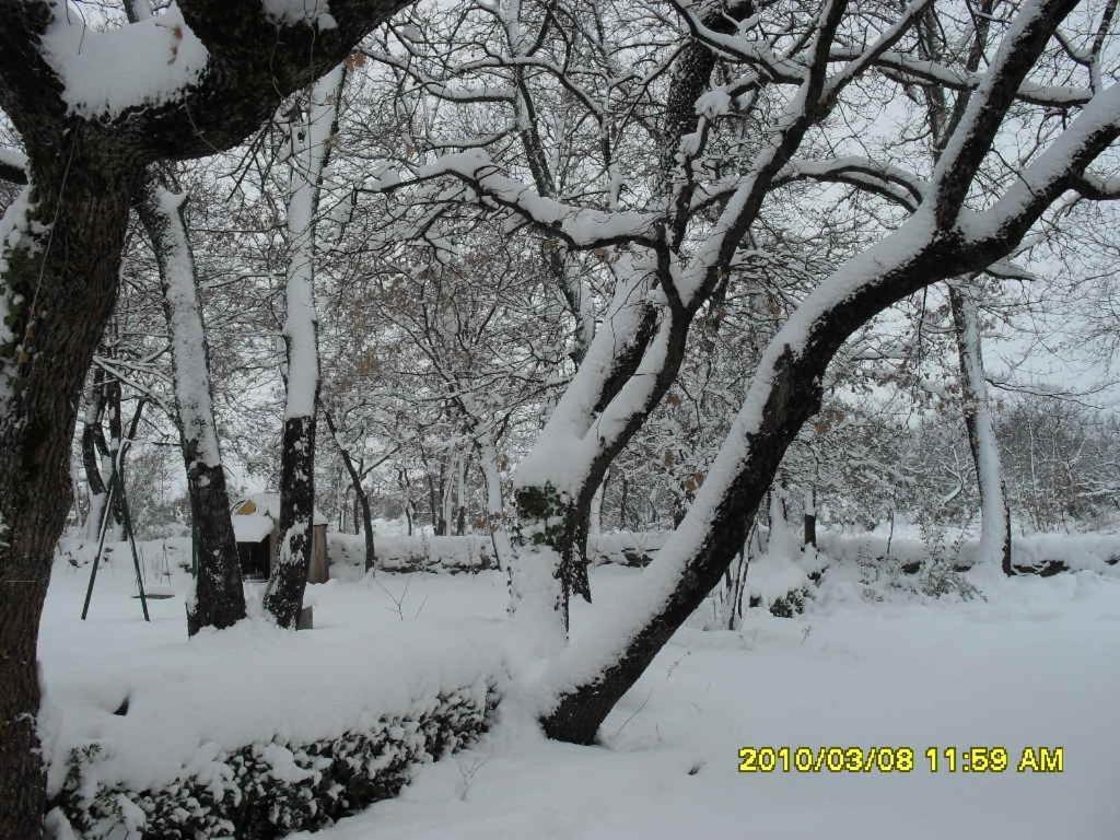 La Cheneraie Bed & Breakfast Vezenobres Bagian luar foto